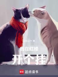 我在红楼开个挂